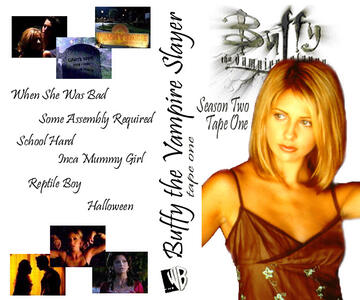 2vcr1a.jpg