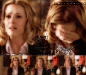 231.jpg