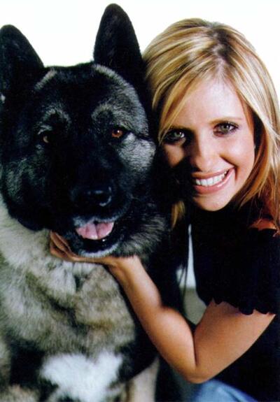 Buffy · Actors